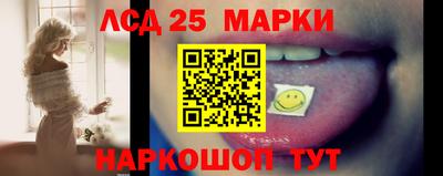 дмт Тара