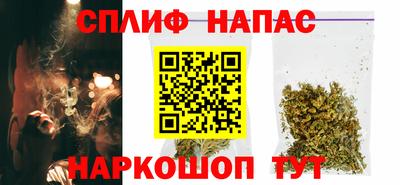 дмт Тара