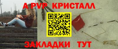 дмт Тара