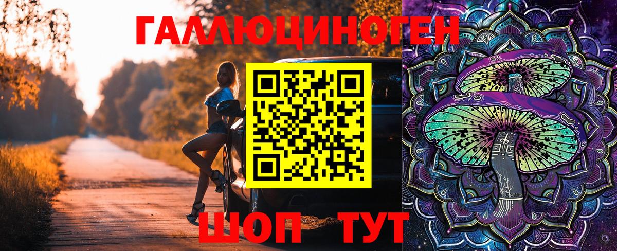 Корсаков  Псилоцибиновые грибы прущие грибы  Вход с VPN 
